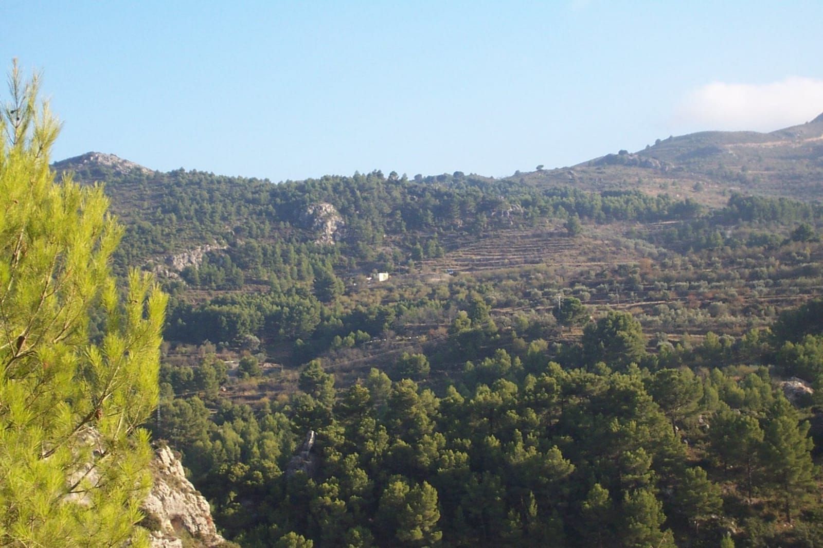 Maison de campagne à Confrides, vente